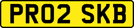 PR02SKB