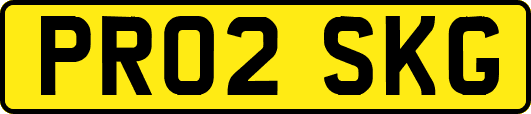 PR02SKG