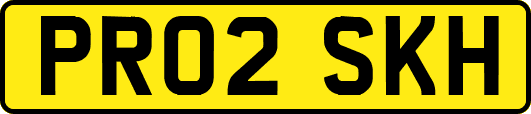 PR02SKH