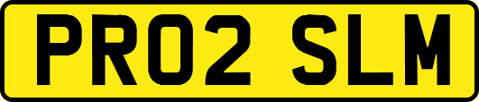 PR02SLM