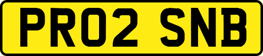 PR02SNB