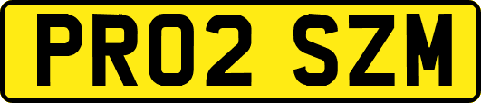 PR02SZM
