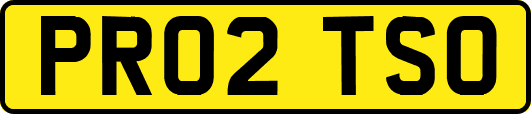 PR02TSO