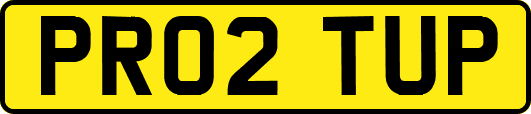 PR02TUP