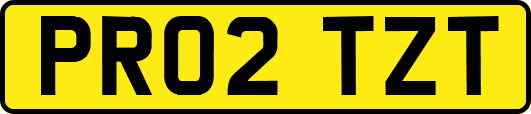 PR02TZT