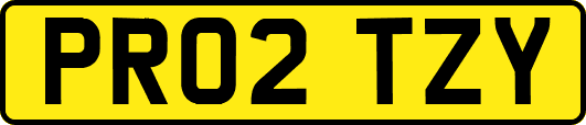 PR02TZY