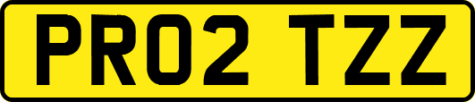 PR02TZZ