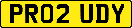 PR02UDY