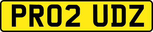 PR02UDZ