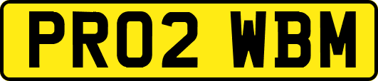 PR02WBM