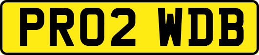 PR02WDB
