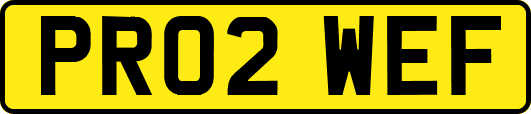 PR02WEF