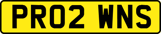 PR02WNS