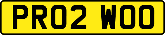 PR02WOO