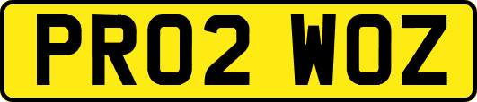 PR02WOZ