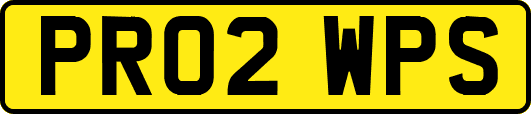 PR02WPS