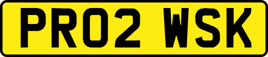 PR02WSK