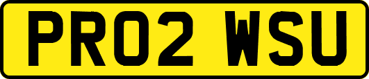PR02WSU