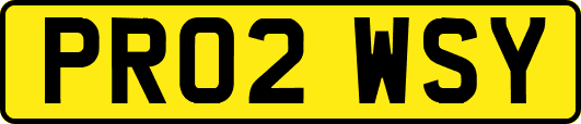 PR02WSY