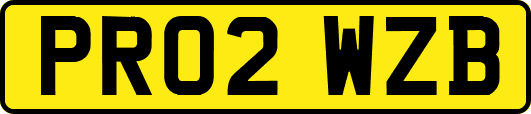 PR02WZB
