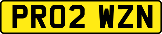 PR02WZN