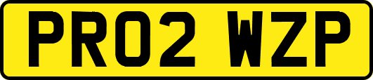 PR02WZP