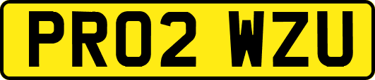 PR02WZU
