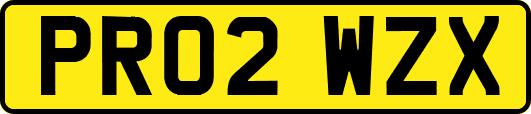 PR02WZX