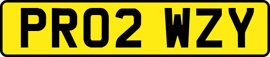 PR02WZY