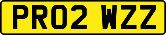 PR02WZZ