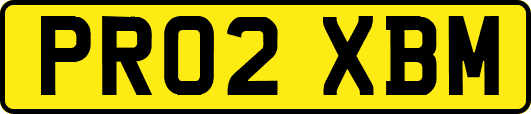 PR02XBM