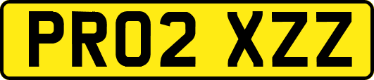 PR02XZZ