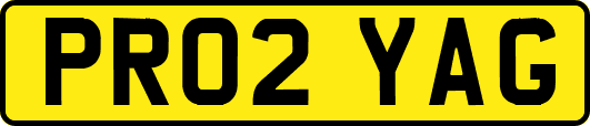 PR02YAG