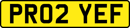 PR02YEF