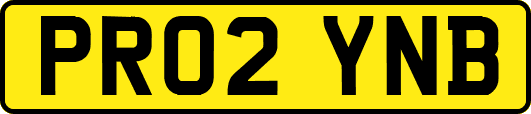 PR02YNB