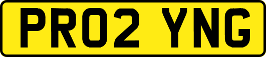 PR02YNG