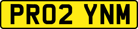 PR02YNM
