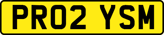 PR02YSM