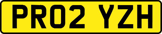 PR02YZH