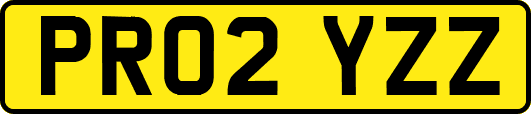 PR02YZZ