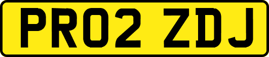 PR02ZDJ