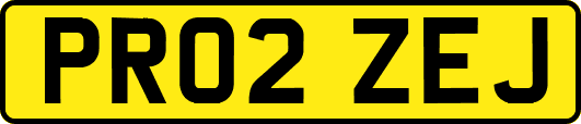 PR02ZEJ
