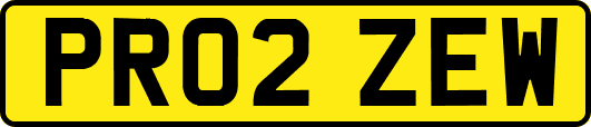PR02ZEW