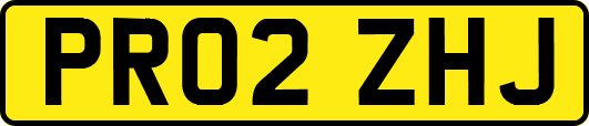 PR02ZHJ