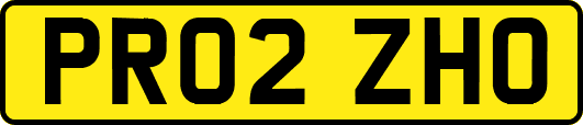 PR02ZHO