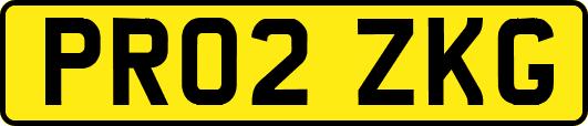 PR02ZKG