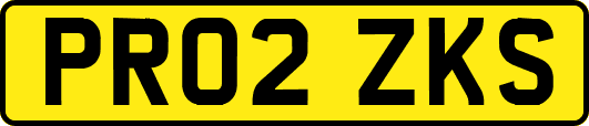 PR02ZKS