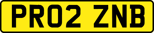 PR02ZNB