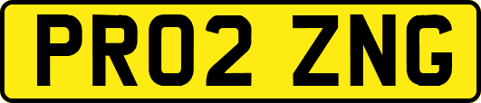 PR02ZNG