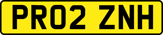 PR02ZNH
